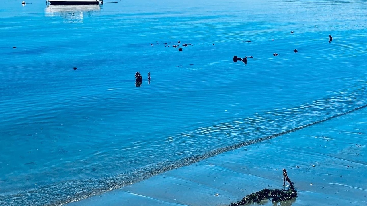 Photo of Others in Otter Point
