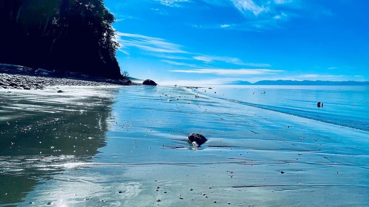 Photo of Others in Otter Point