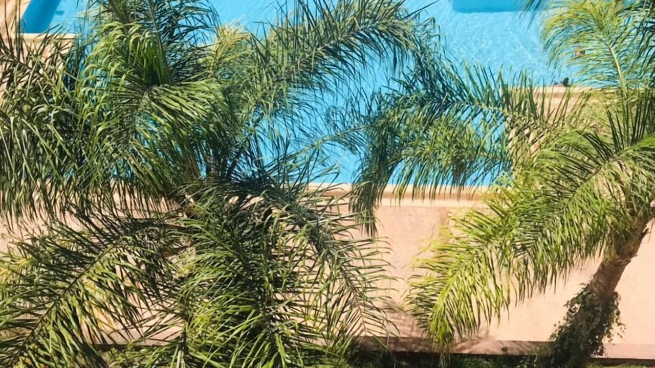 Photo of Outdoor in Marrakech