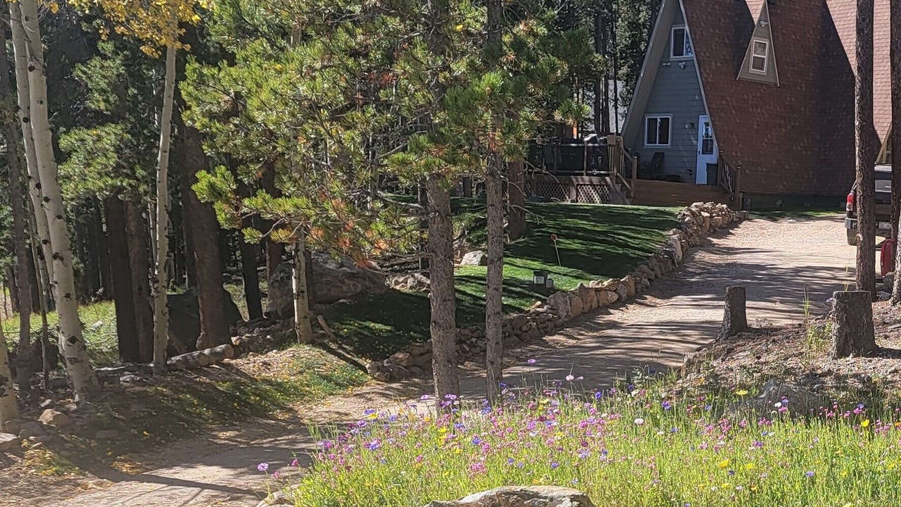 Photo of Outdoor in Evergreen
