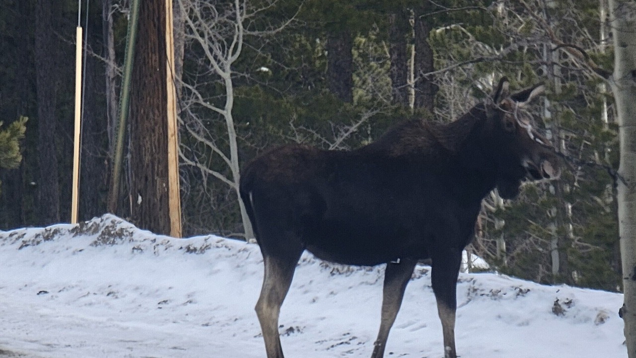 Photo of Others in Evergreen