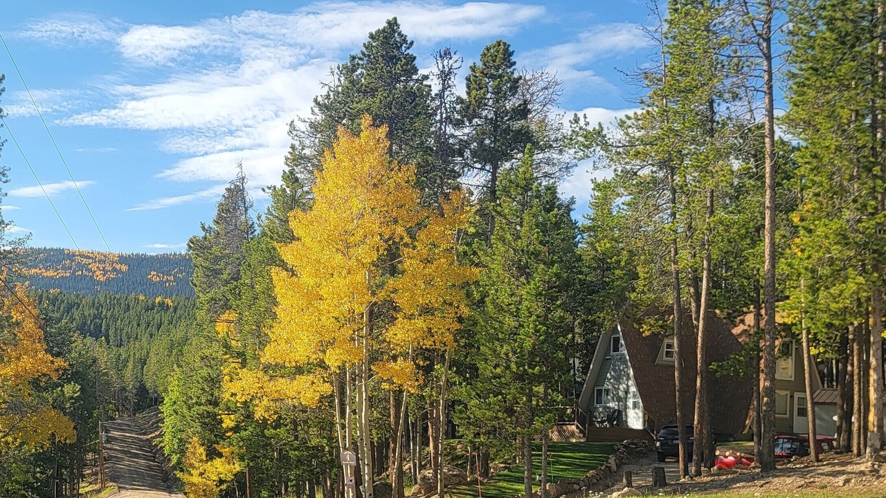 Photo of Others in Evergreen