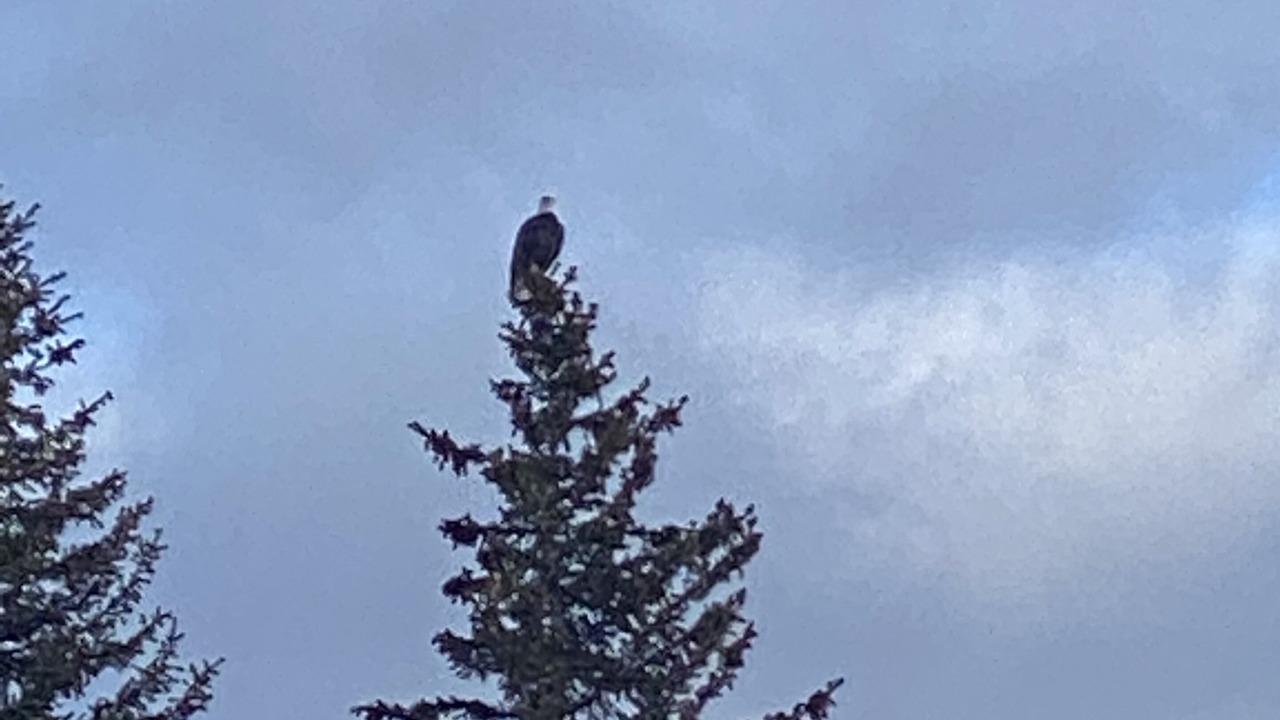 Photo of Others in Tahoe Keys