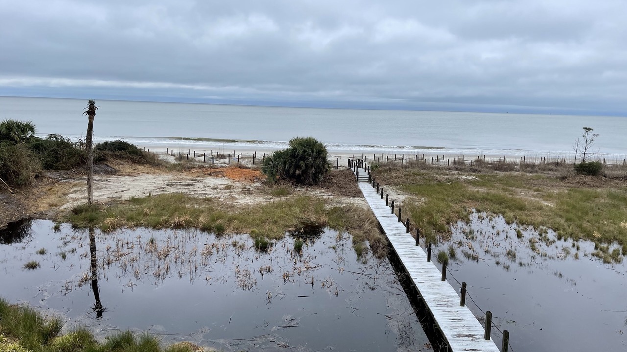 Photo of Others in Daufuskie Island