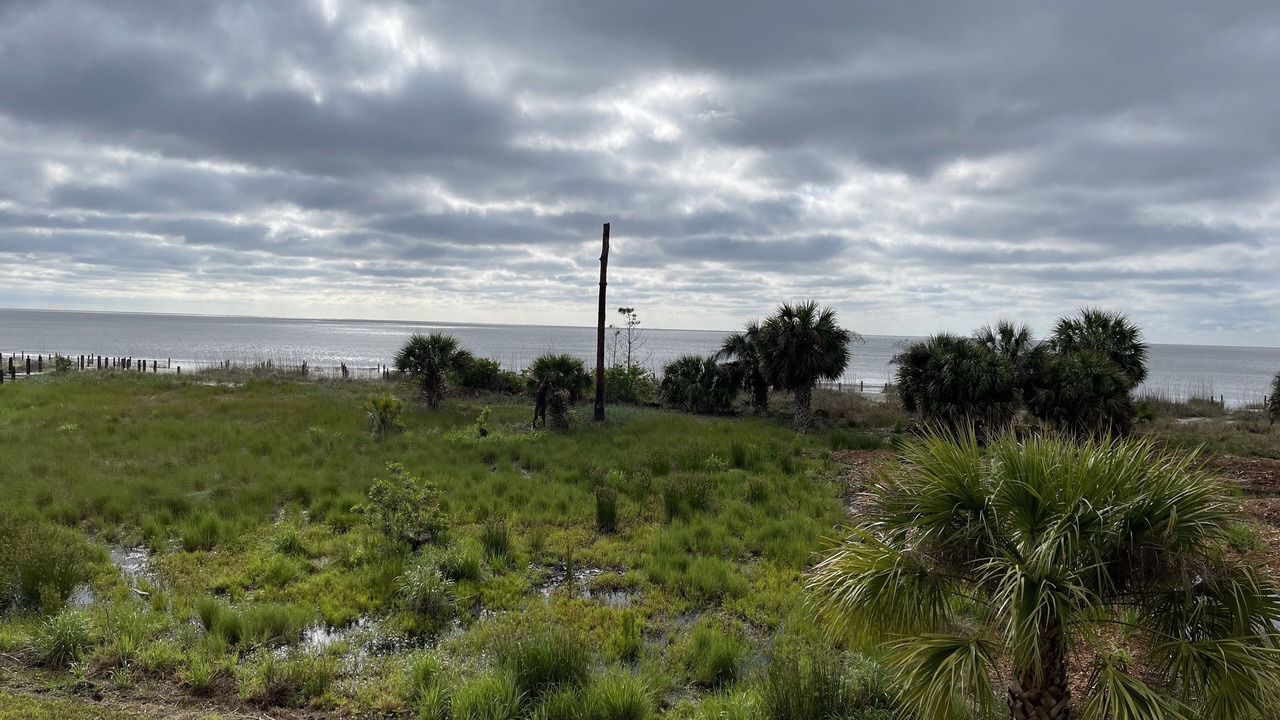 Photo of Outdoor in Daufuskie Island