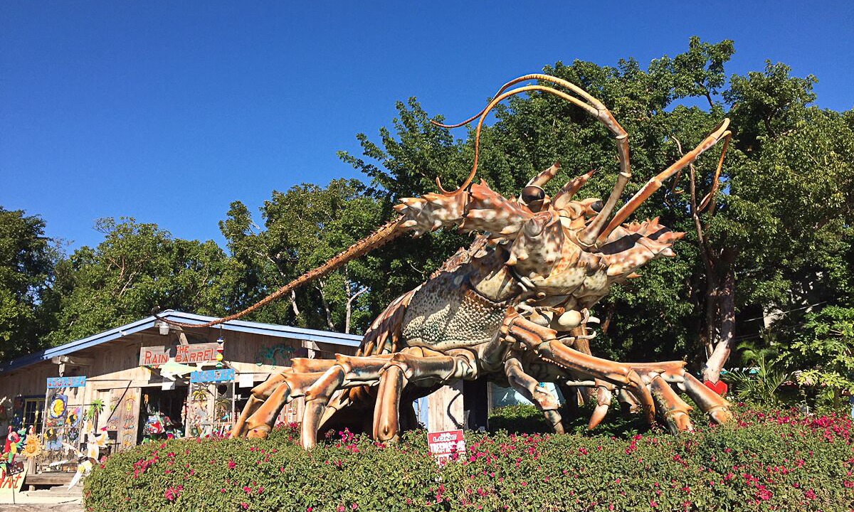 Photo of Others in Islamorada