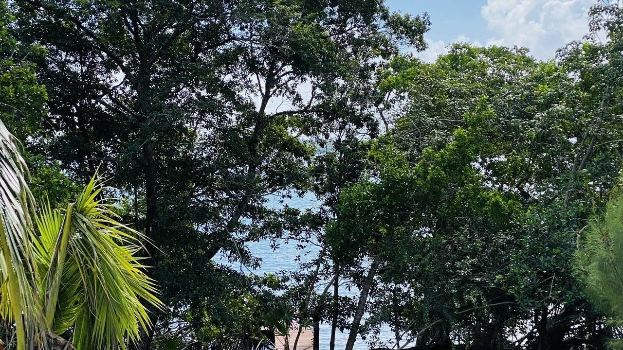 Photo of Outdoor in Sittee River Village