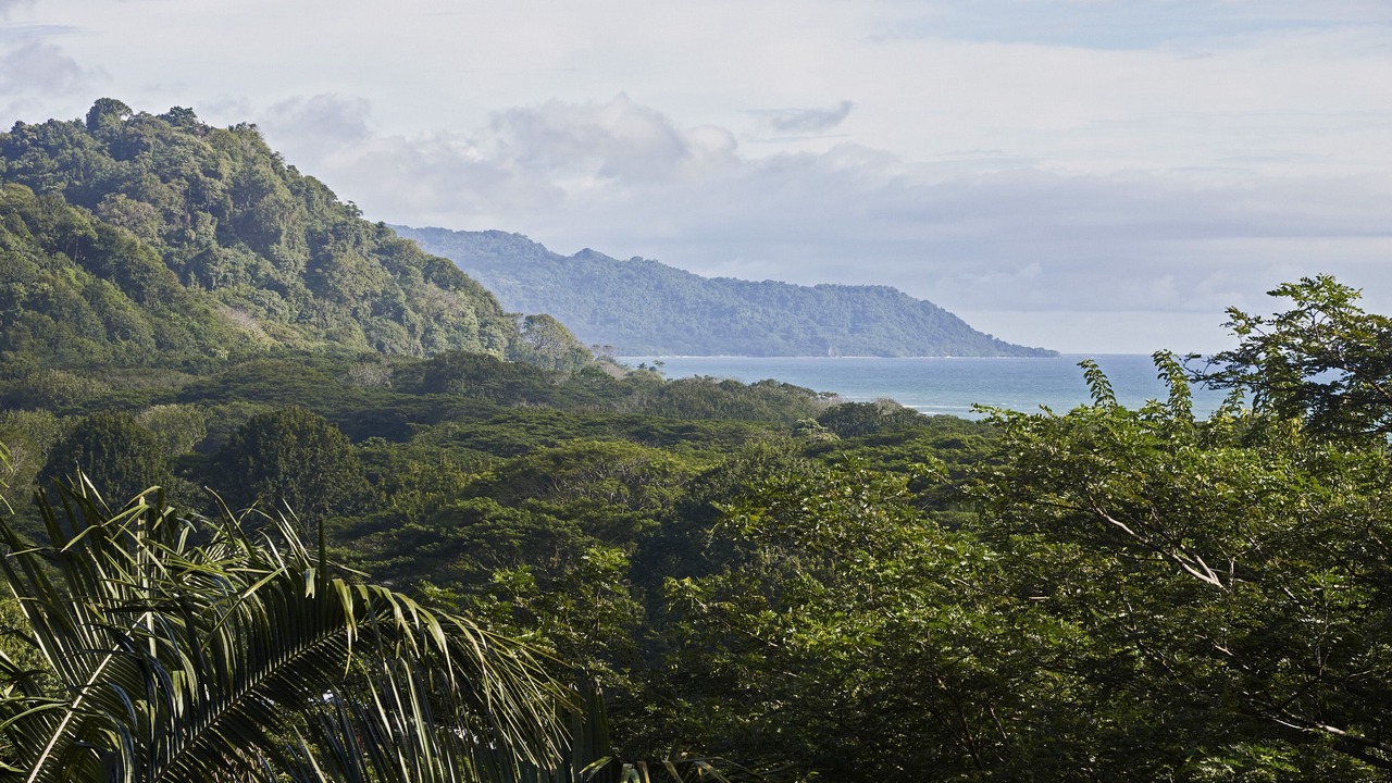 Photo of Others in Playa Hermosa Cobano