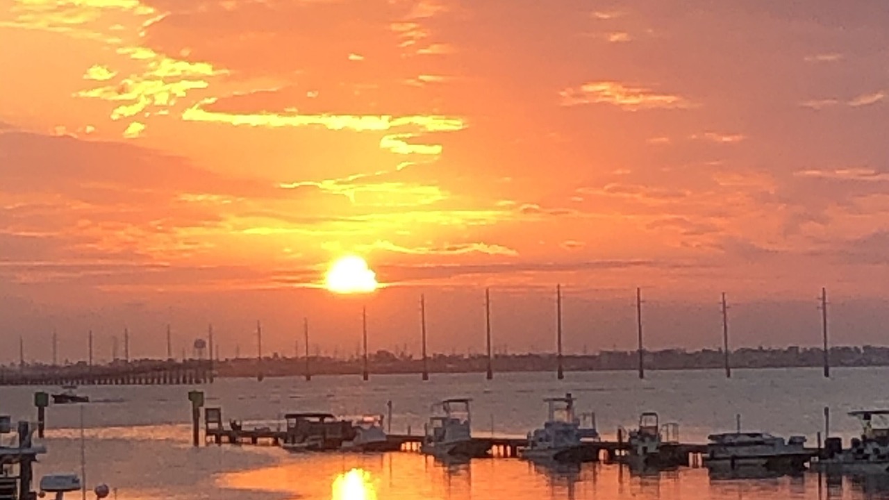 Photo of Others in South Padre Island