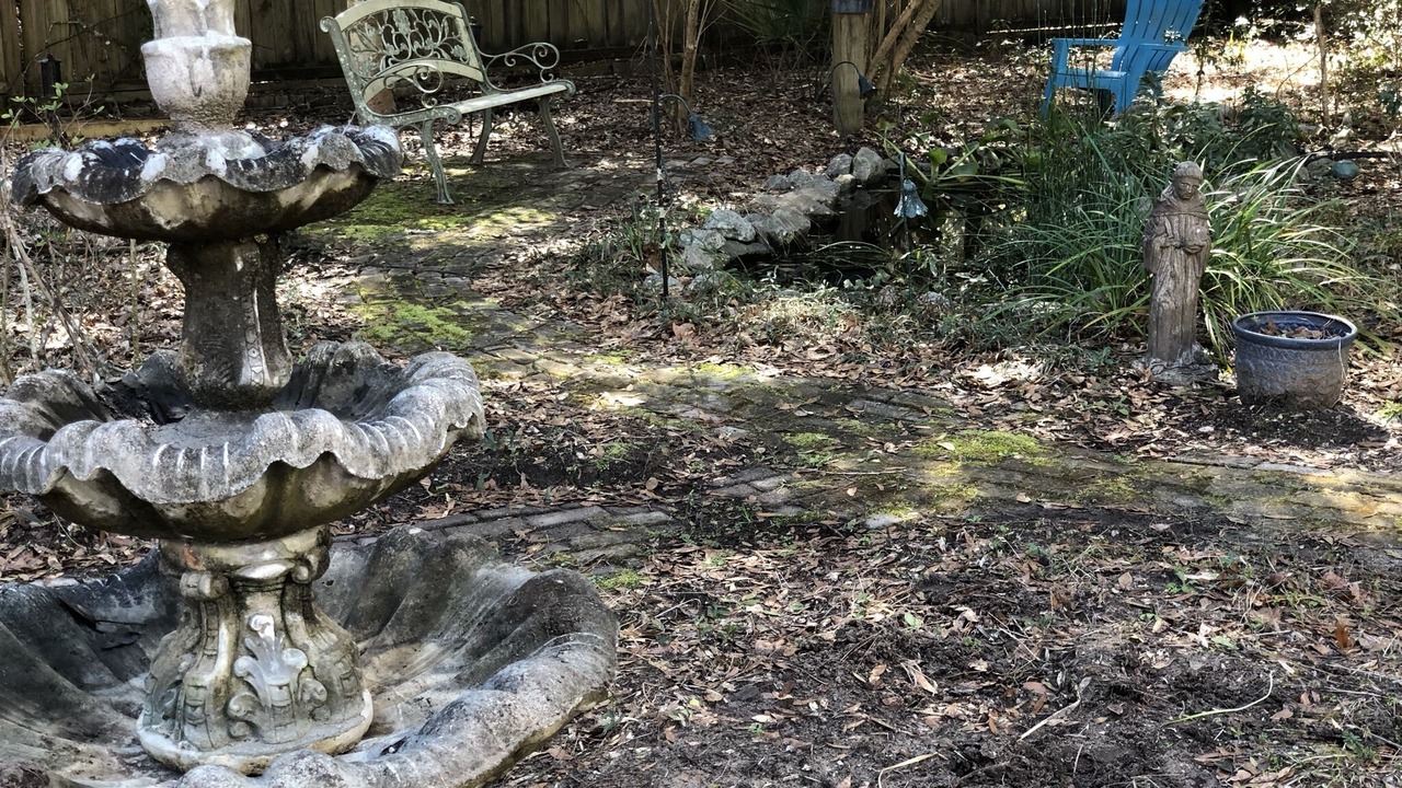 Photo of Others in Daufuskie Island