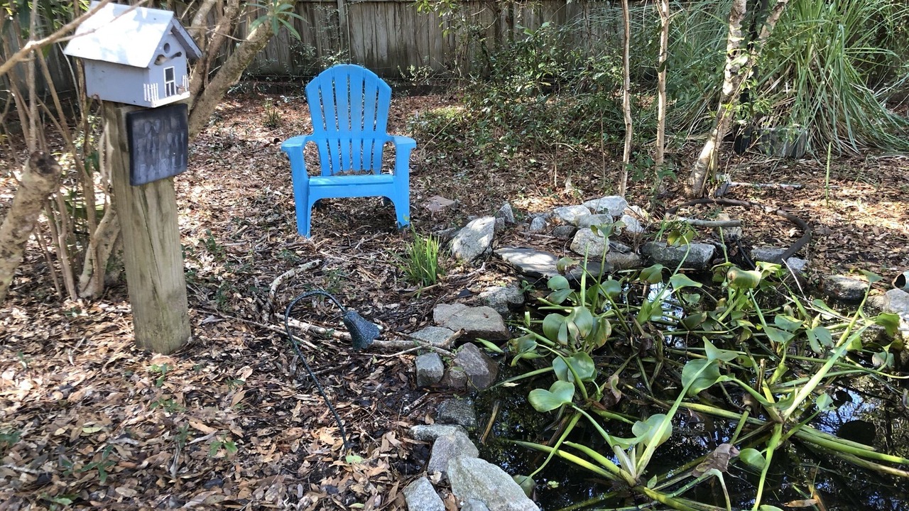 Photo of Others in Daufuskie Island