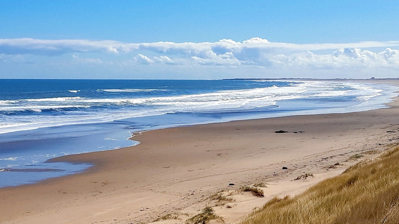 Photo of Others in Berwick-upon-Tweed