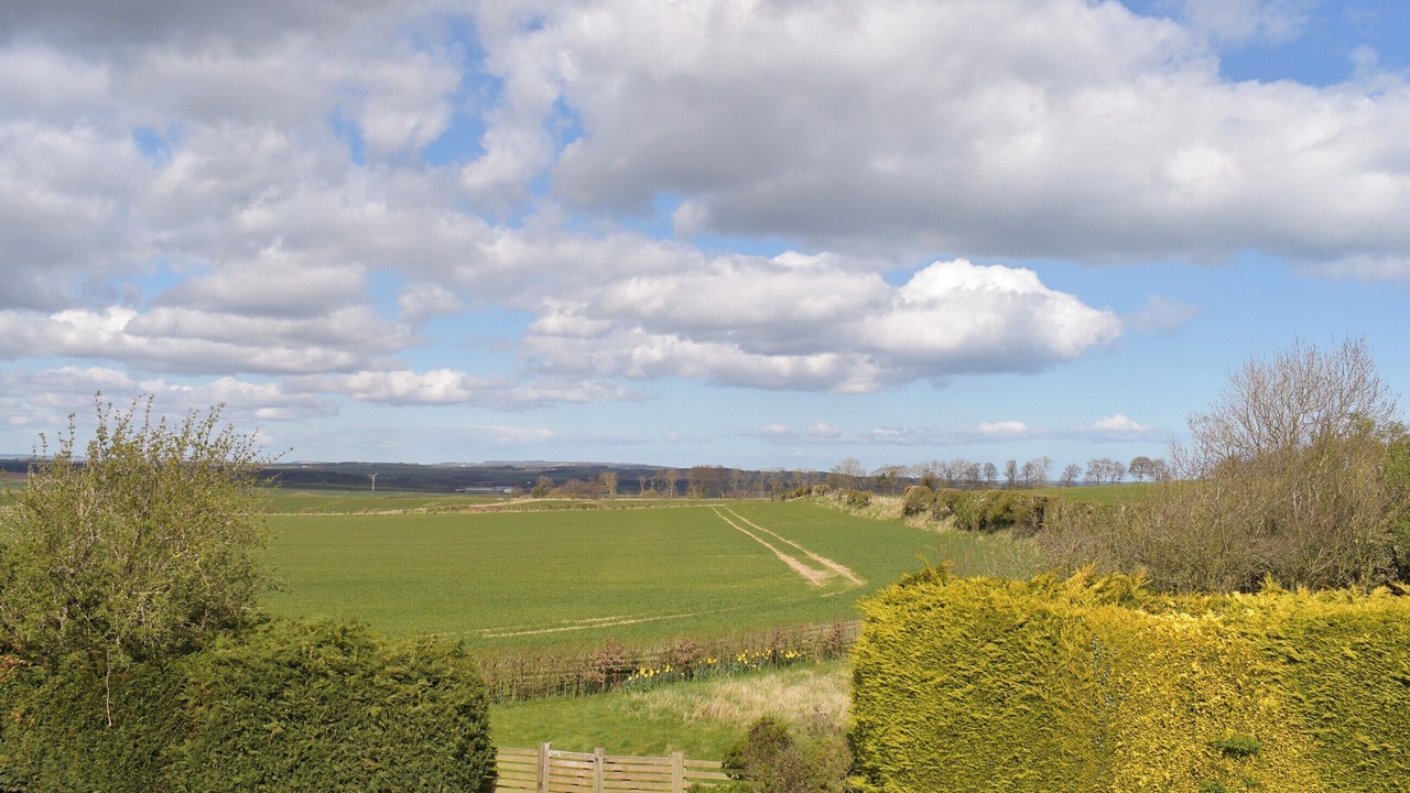 Photo of Others in Berwick-upon-Tweed