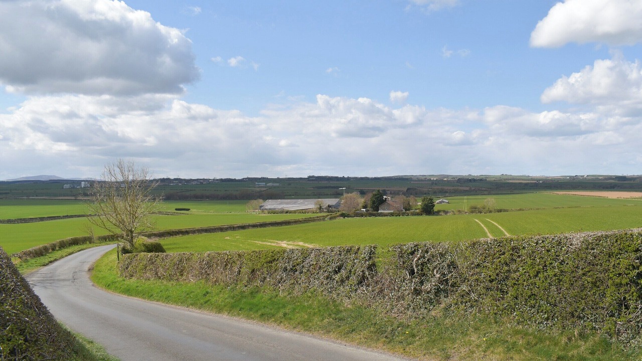 Photo of Others in Berwick-upon-Tweed