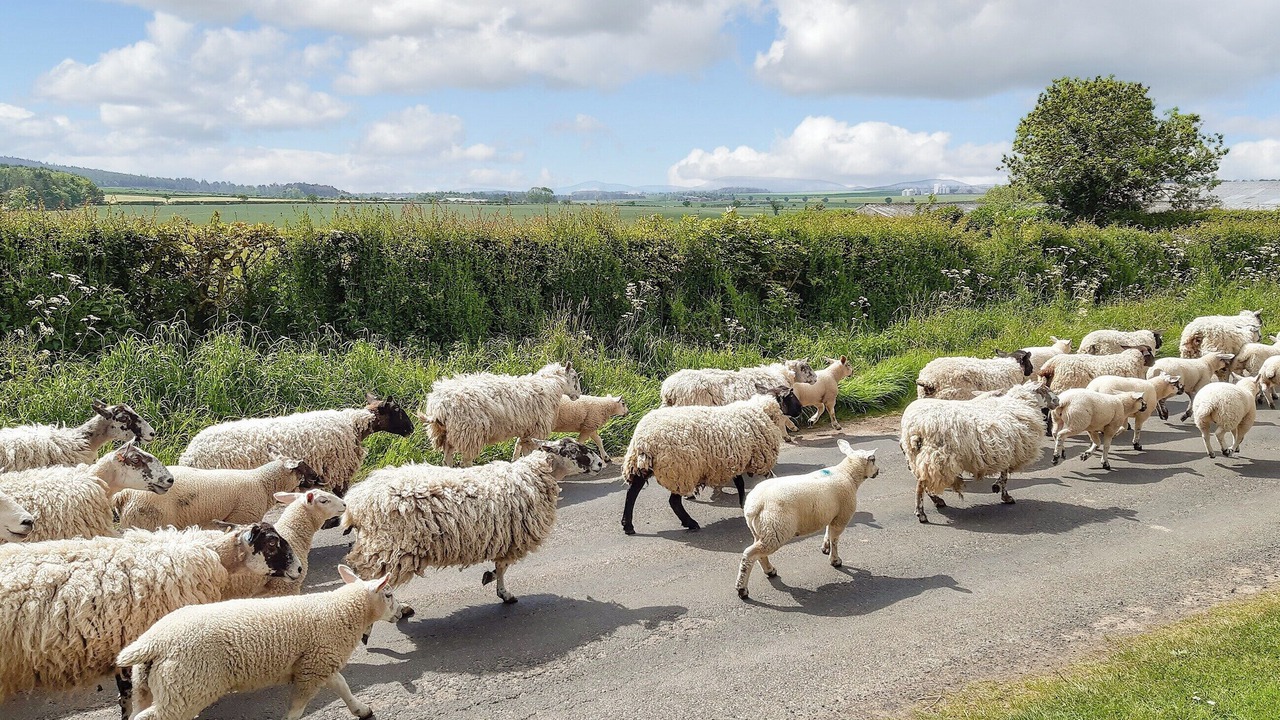 Photo of Outdoor in Berwick-upon-Tweed