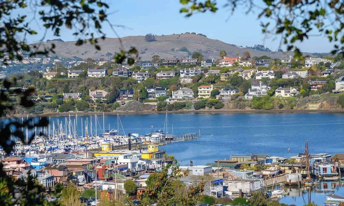 Photo of Others in Marin City
