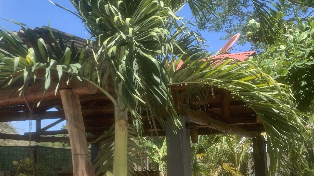 Photo of Outdoor in Marbella