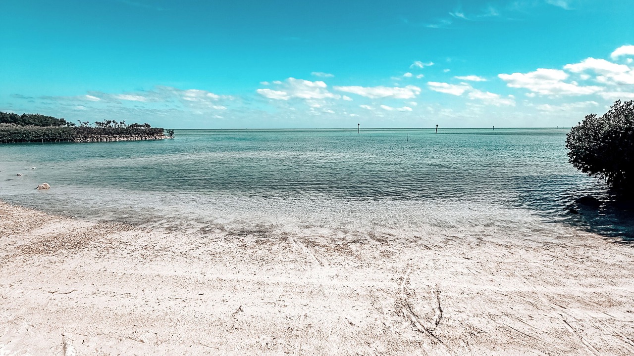 Photo of Others in Islamorada