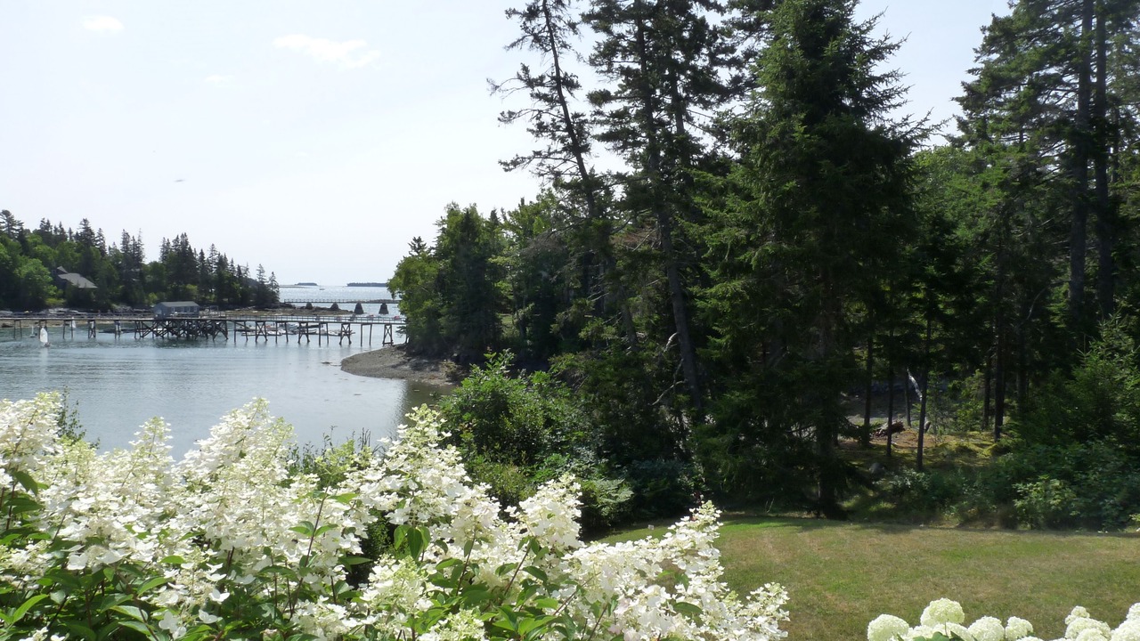 Photo of Outdoor in Northeast Harbor