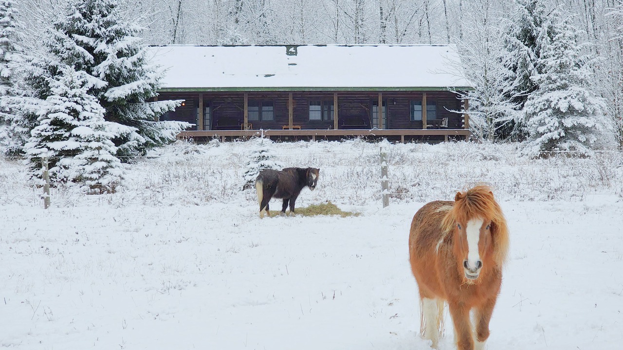 Photo of Outdoor in Owego