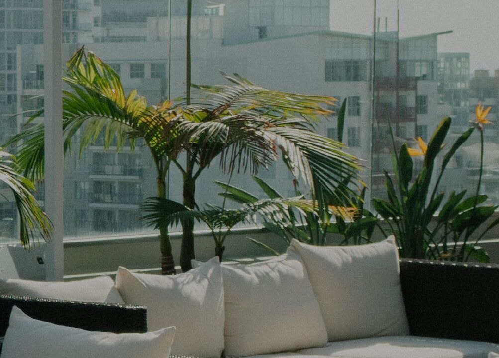 Photo of Outdoor in South End