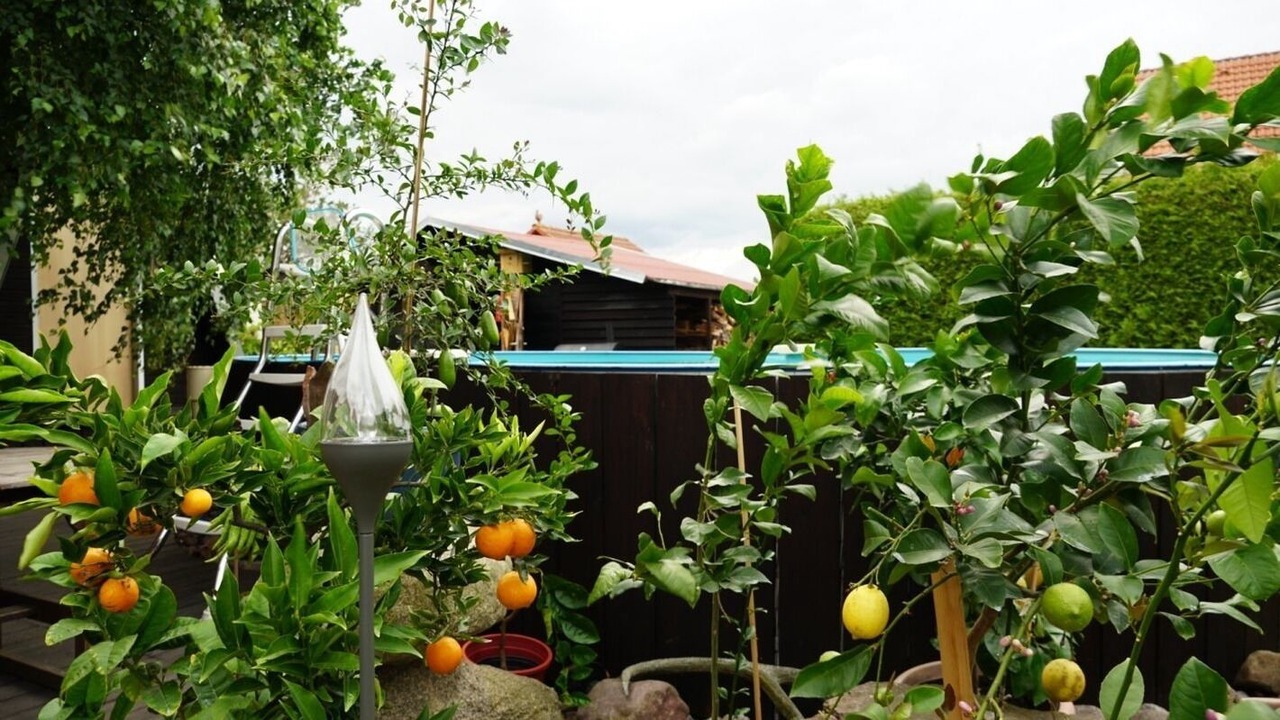 Photo of Outdoor in Lindenberg