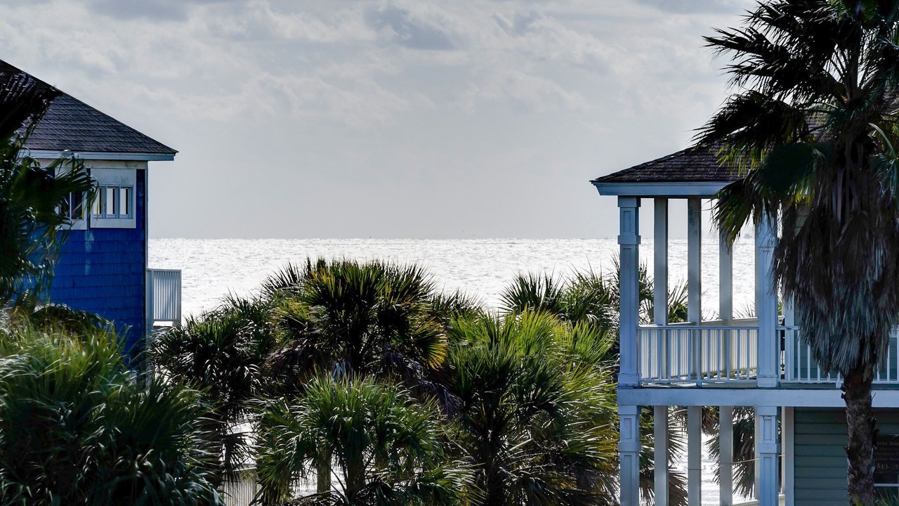 Photo of Outdoor in Isle of Palms