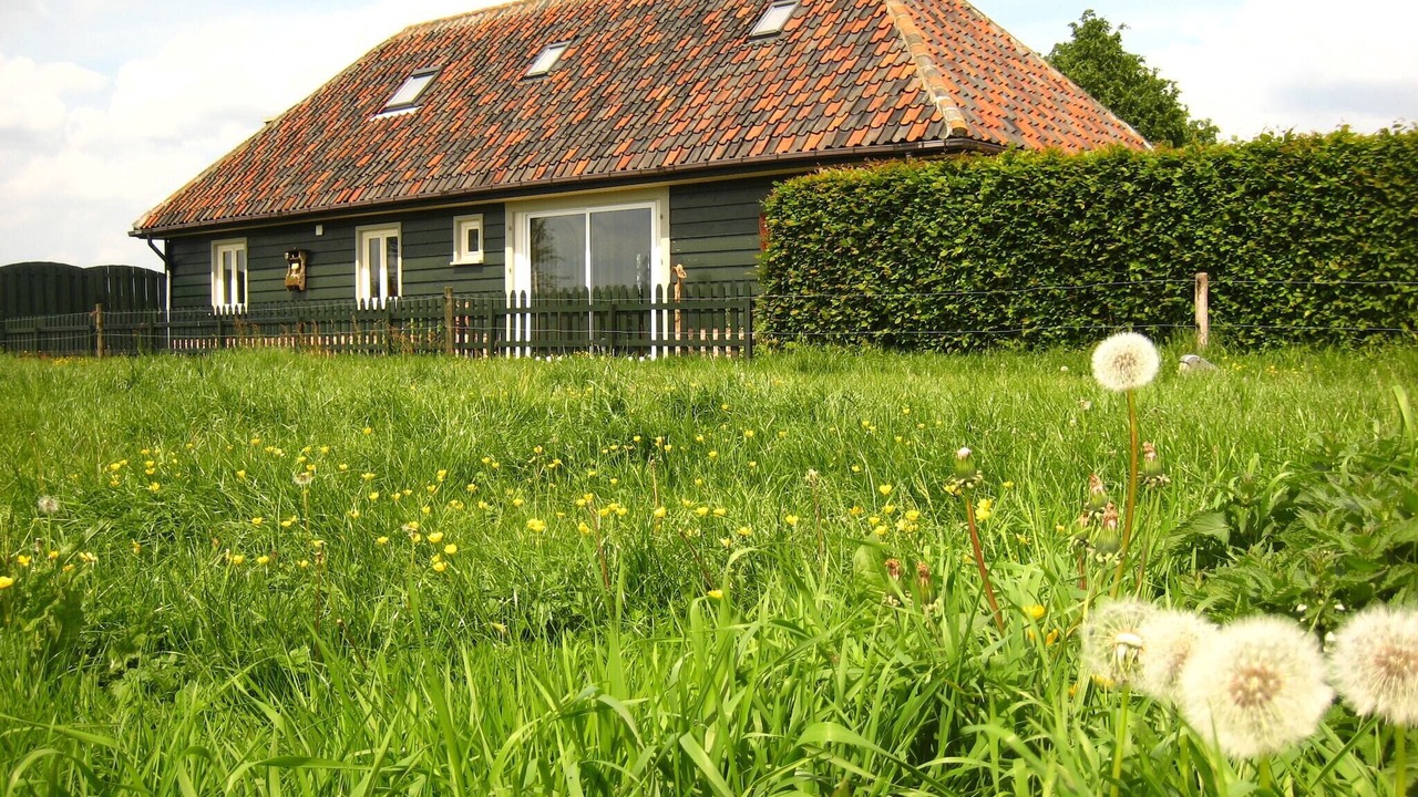 Photo of Outdoor in Zele