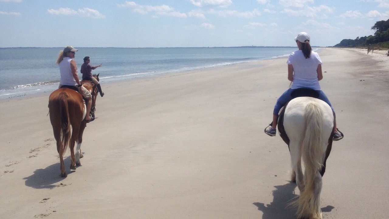Photo of Others in Melrose on the Beach
