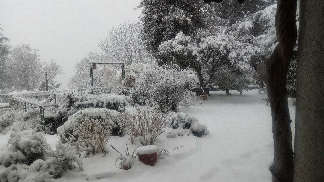 Photo of Outdoor in Sagno