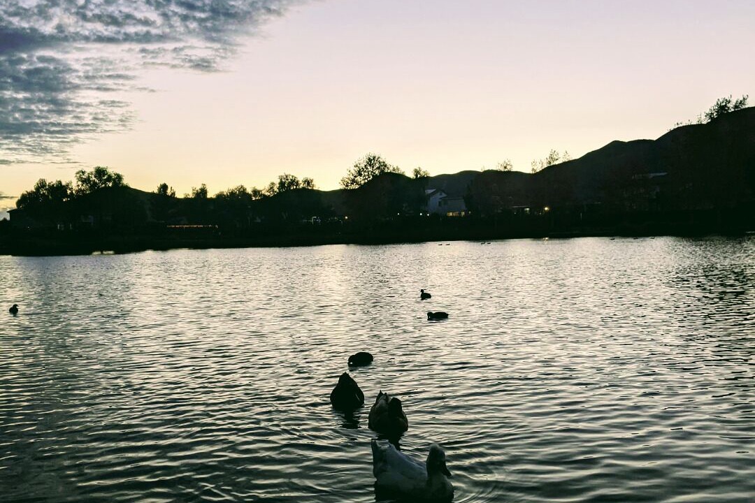 Photo of Outdoor in Sun City