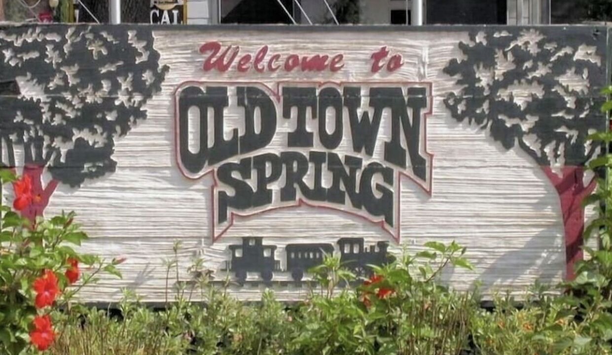 Photo of Outdoor in Spring