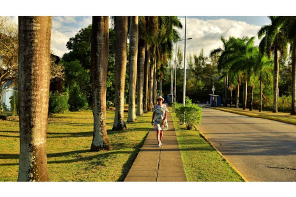 Photo of Outdoor in Mango Walk