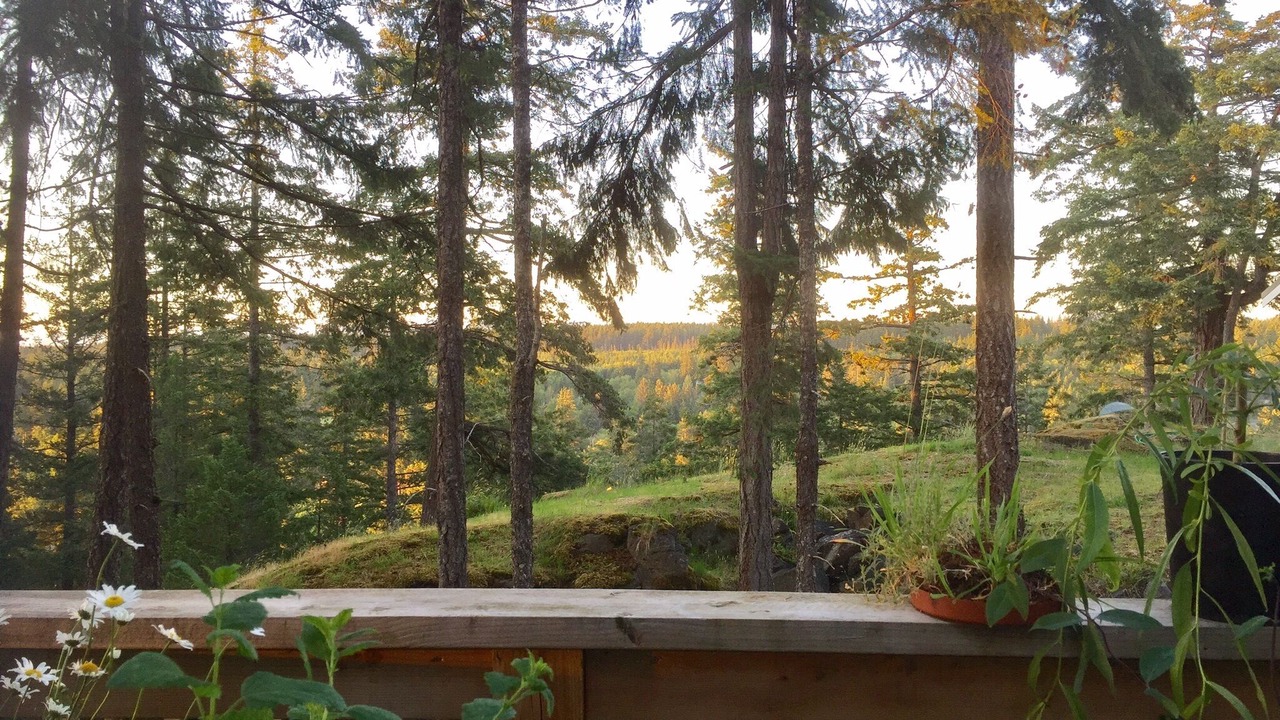Photo of Outdoor in Quathiaski Cove