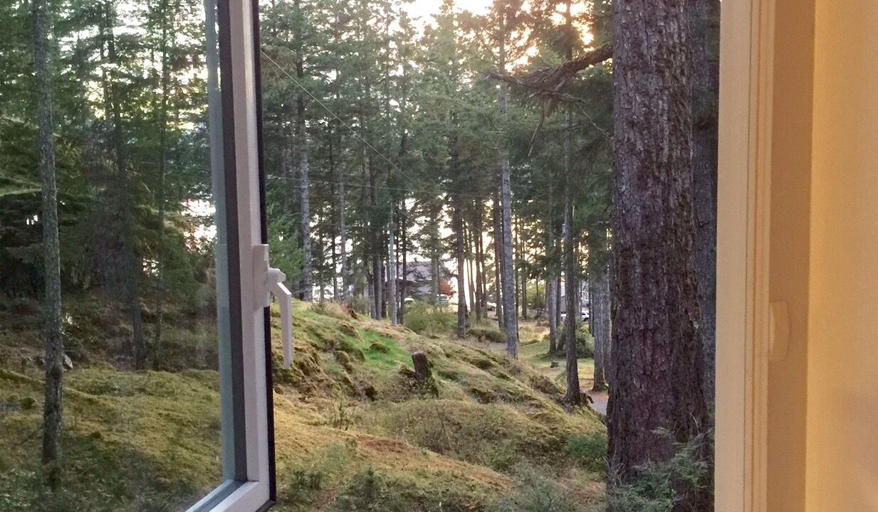 Photo of Others in Quathiaski Cove
