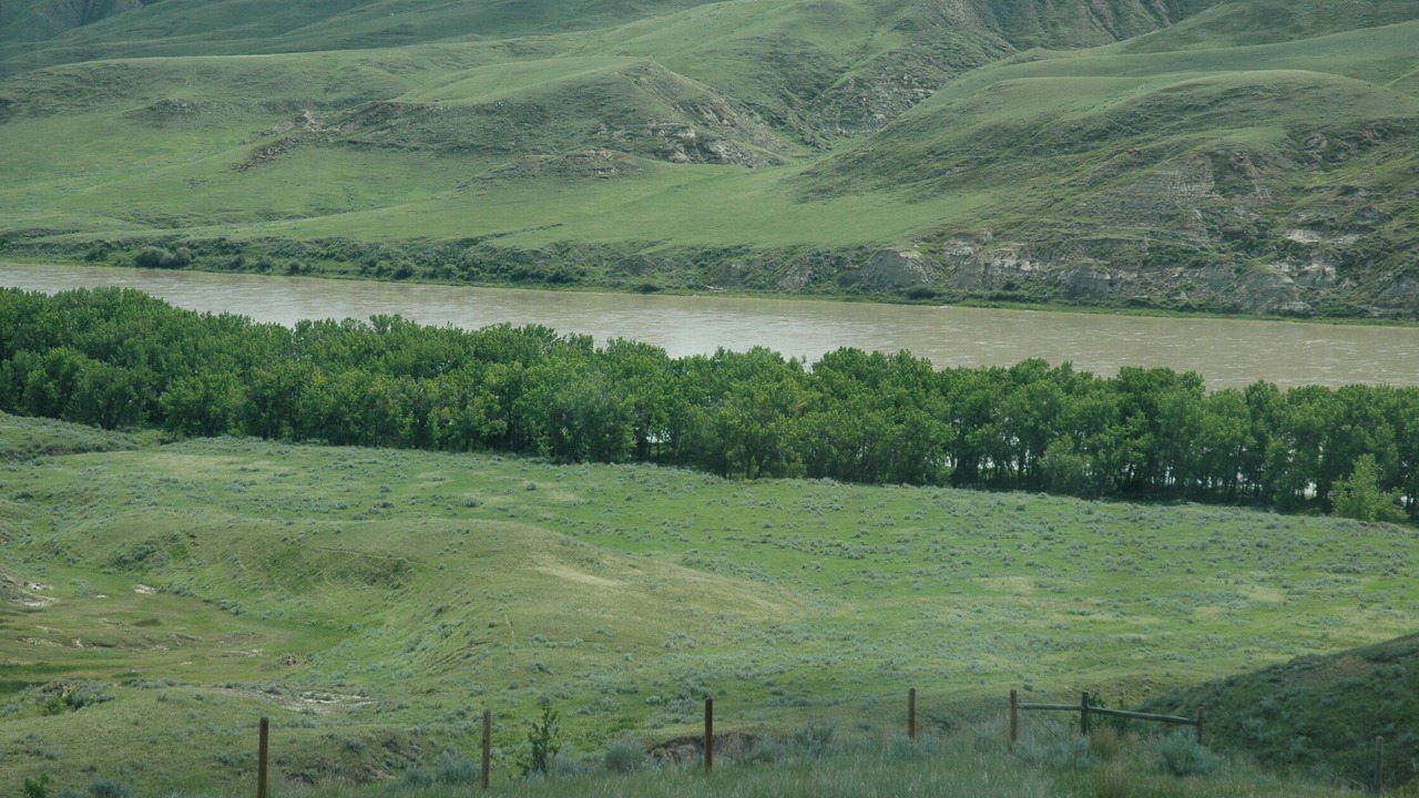 Photo of Others in Alberta