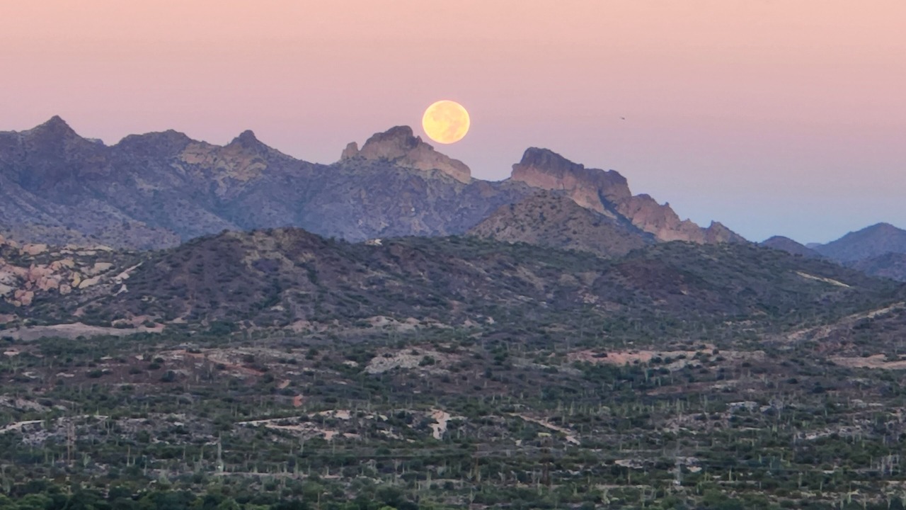 Photo of Outdoor in Apache Junction