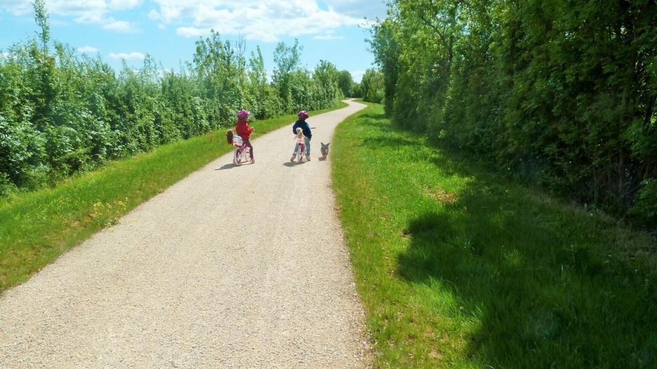 Photo of Others in Auchay-sur-Vendee