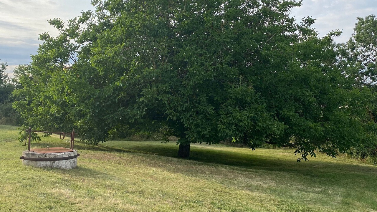 Photo of Outdoor in Auchay-sur-Vendee