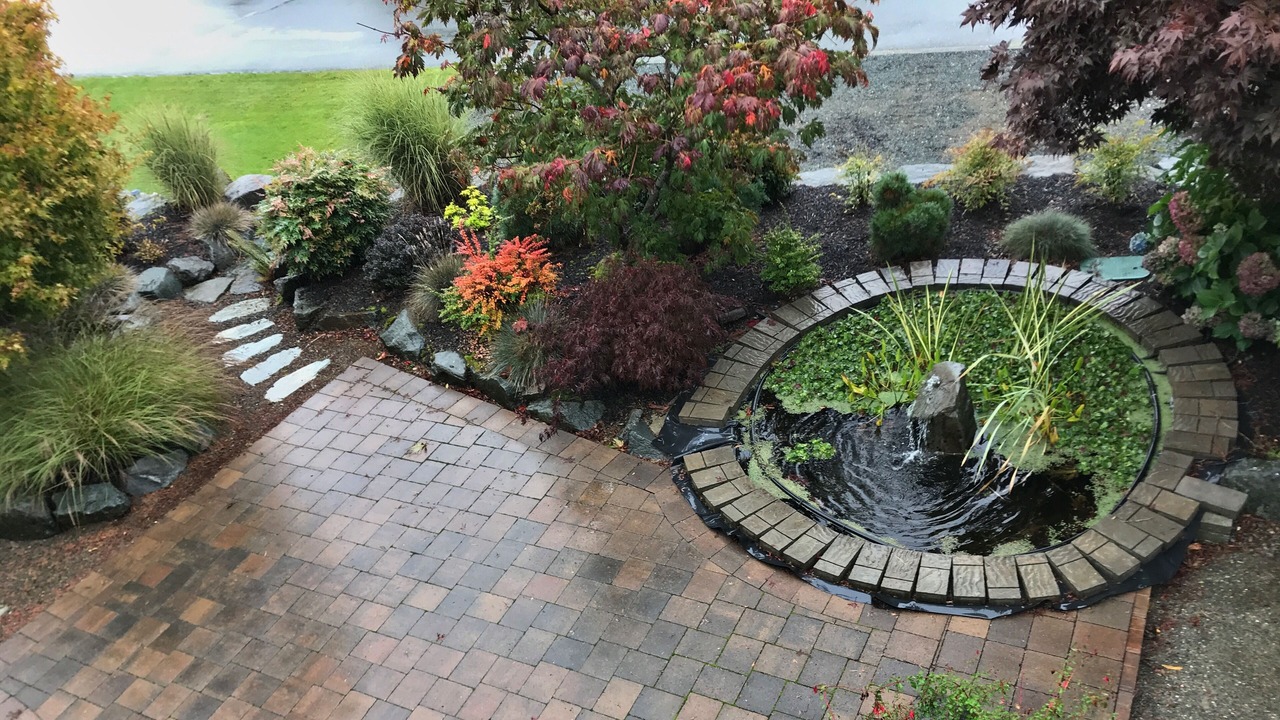 Photo of Outdoor in Campbell River