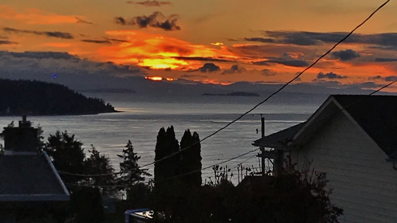 Photo of Others in Campbell River