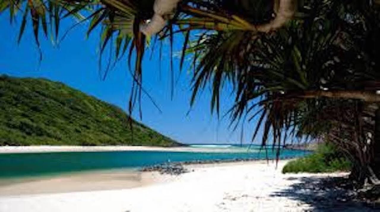 Photo of Others in Burleigh Heads