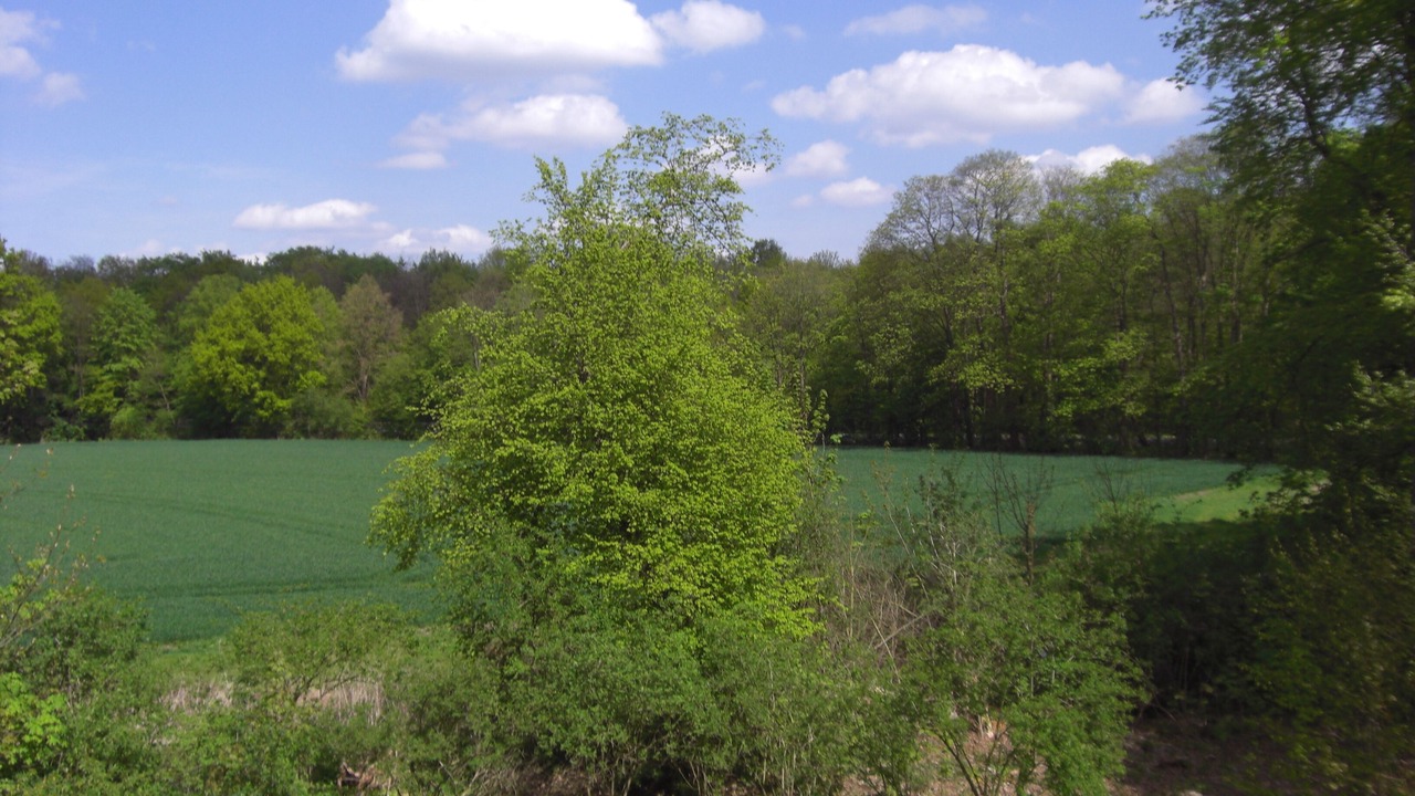 Photo of Outdoor in Mauritz-Ost