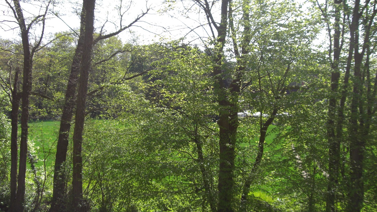Photo of Outdoor in Mauritz-Ost