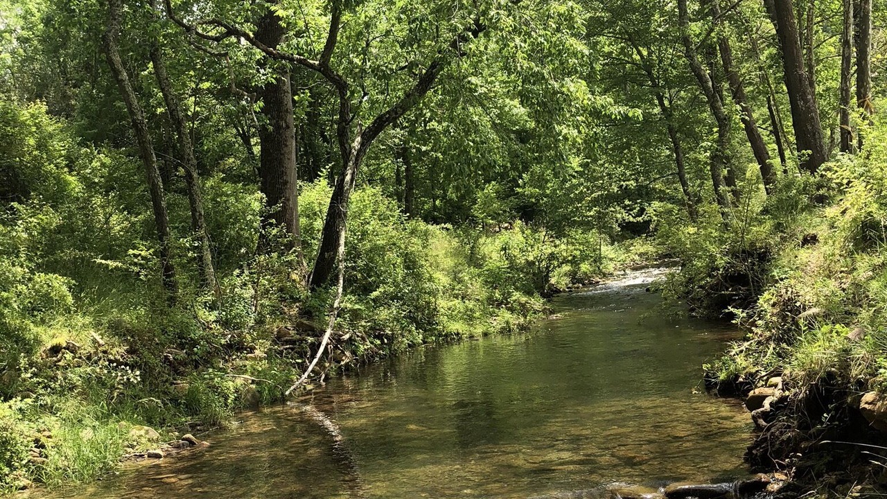 Photo of Outdoor in Candler