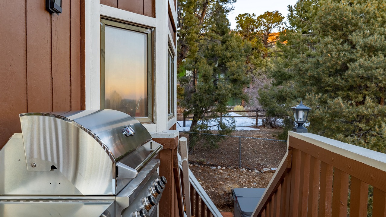Photo of Outdoor in Whispering Forest