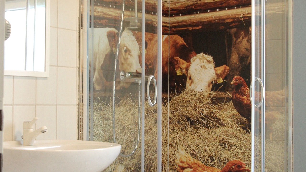 Photo of Bathroom in Medebach