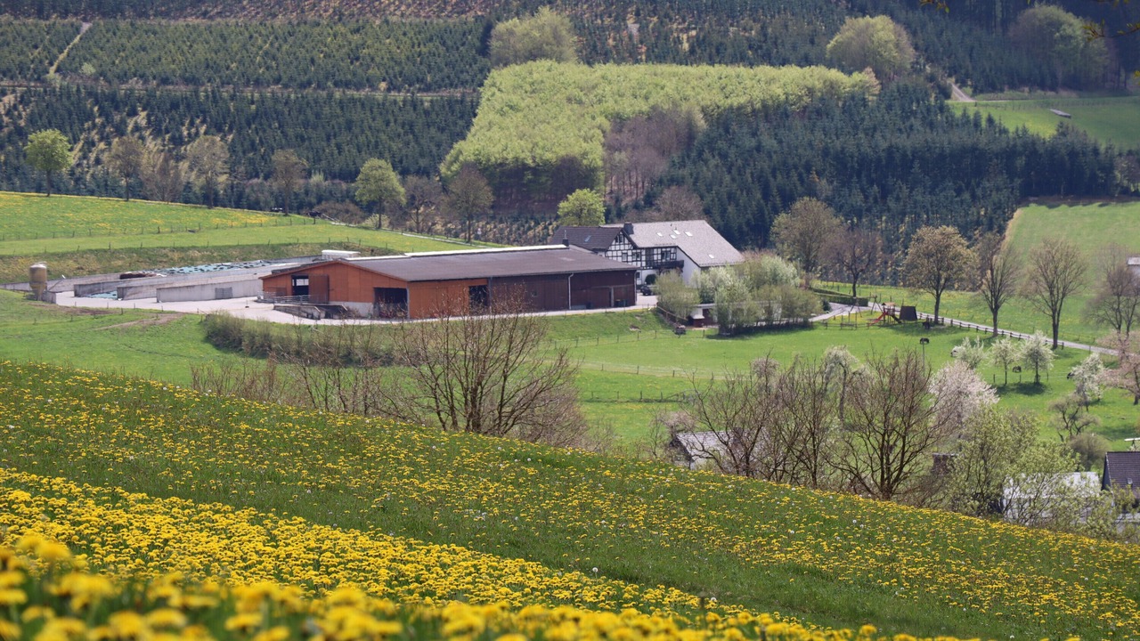 Photo of Outdoor in Oberhenneborn