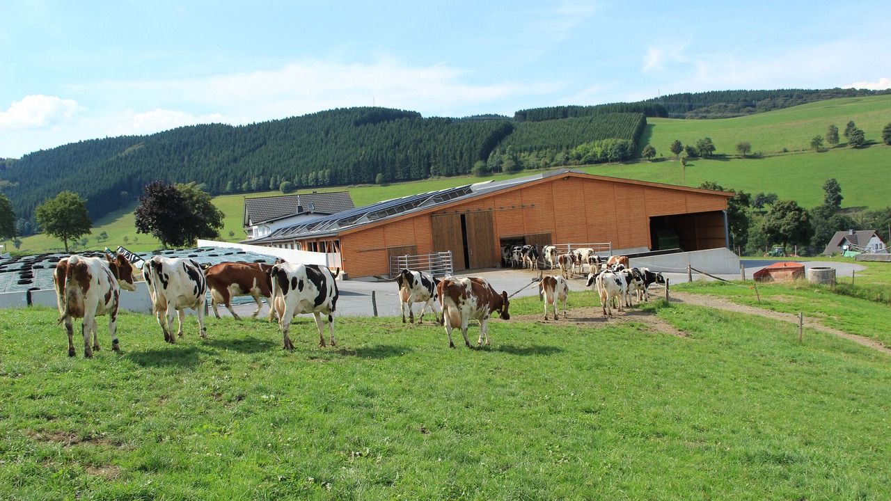 Photo of Others in Oberhenneborn