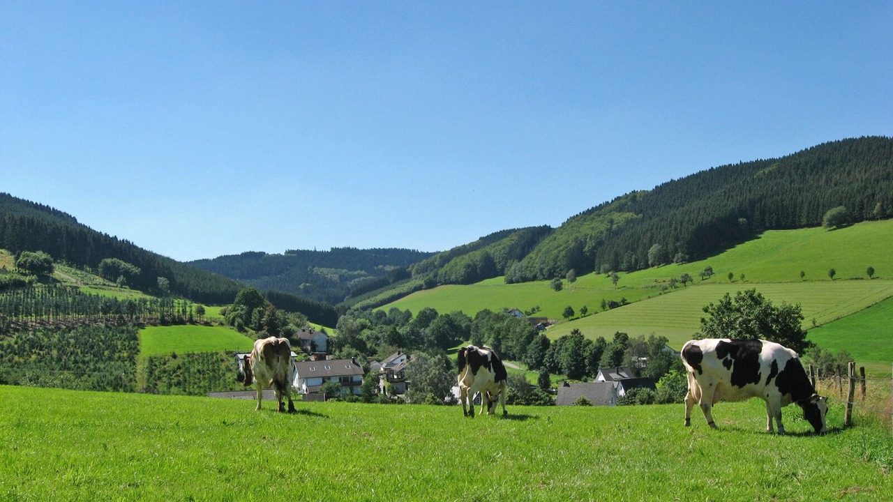 Photo of Outdoor in Oberhenneborn
